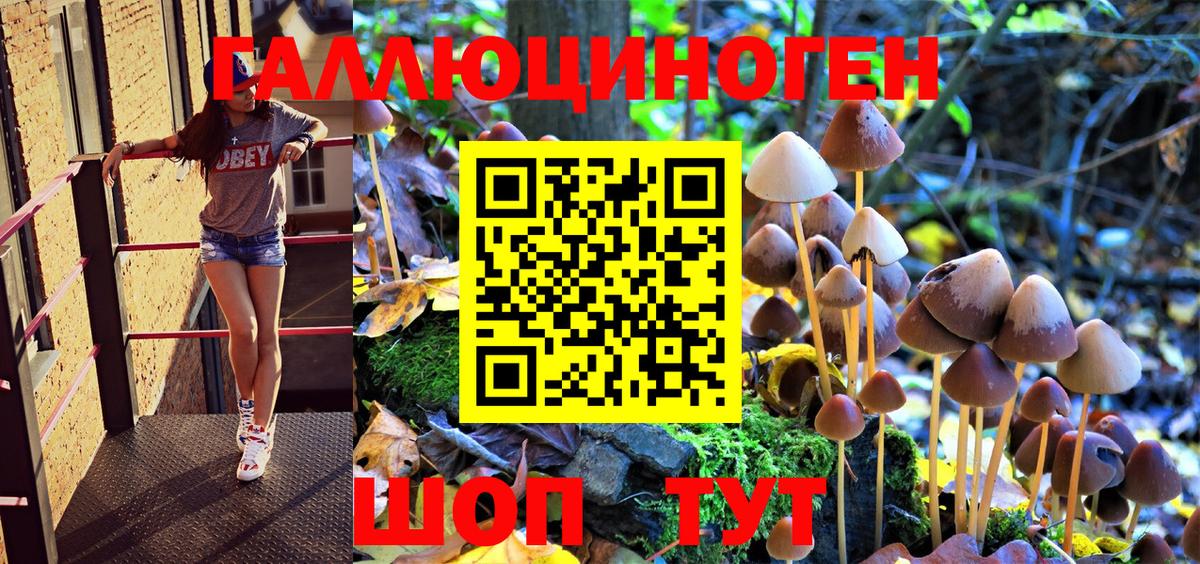 Псилоцибиновые грибы GOLDEN TEACHER  Вход с VPN  где продают наркотики  Балаково 