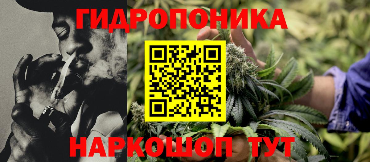 Конопля марихуана  Марихуана Ganja  Шишки марихуана THC 21%  Балаково  Вход с VPN 
